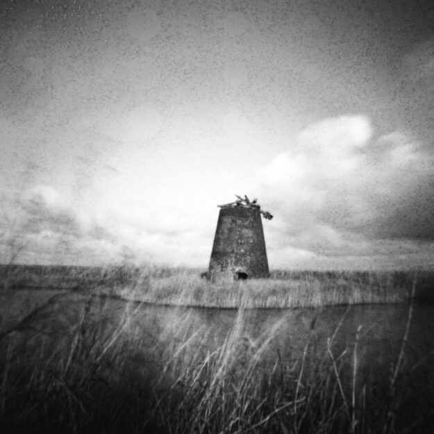 Yant Martin-Keyte