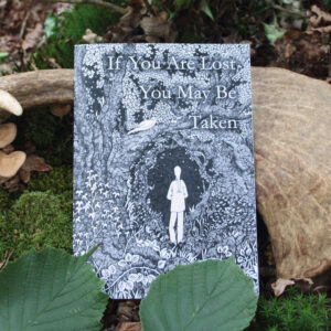 If You Are Lost zine